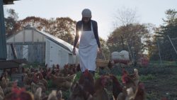 heritage-farm-to-table-in-rockland-maine-with-chef-melissa-kelly-of-primo