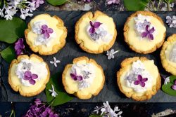 lilac-coconut-cream-tarts