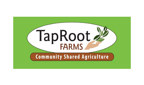 taproots