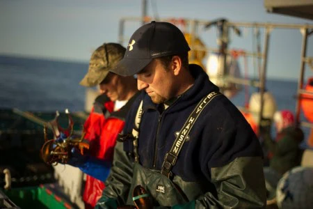 Lobster Fishing