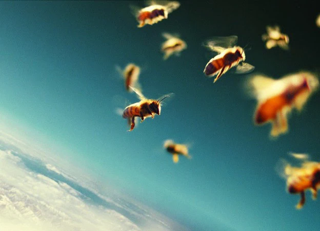 More Than Honey