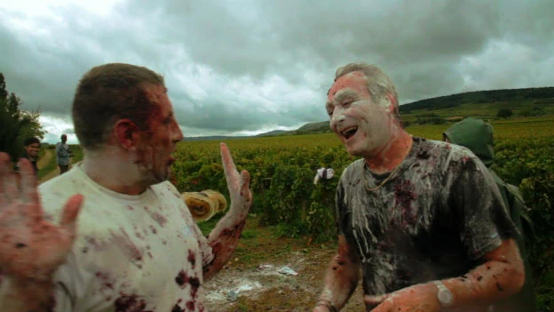 A Year in Burgundy