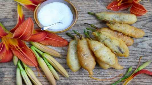 Daylily Fritters