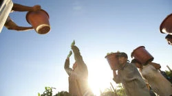 Food Chains w/The Berry Picker