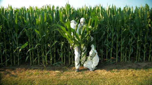 GMO OMG