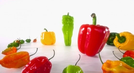 Play with Your Food