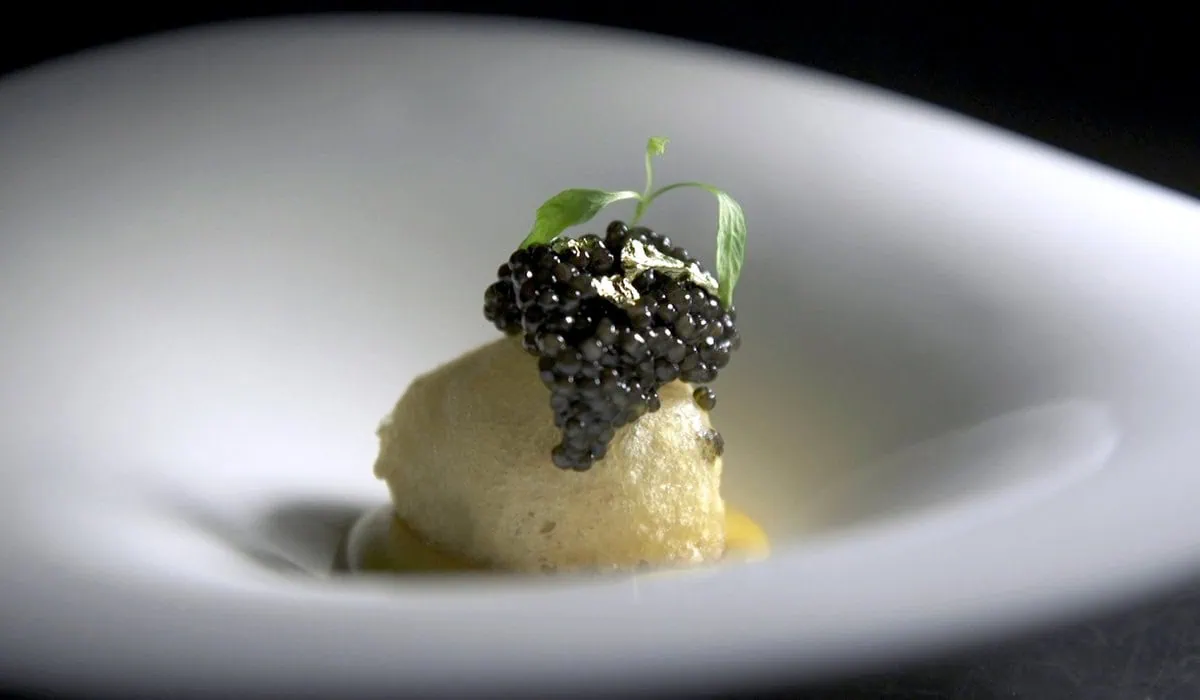 rsz_foodies