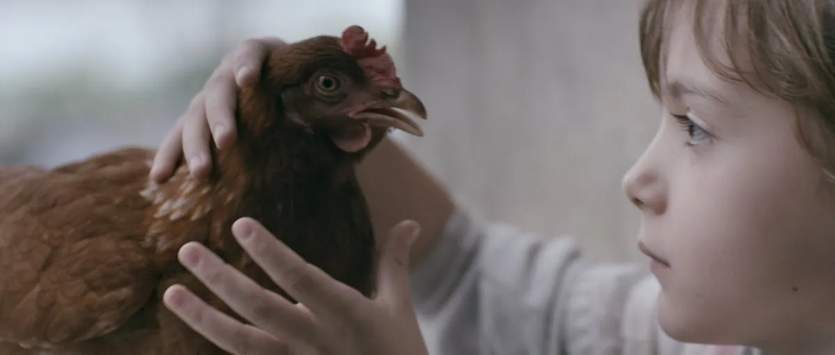 rsz_the_chicken