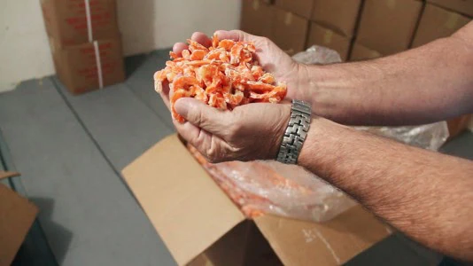 rsz_the_shrimper_jpg