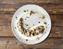 bugs-on-the-menu