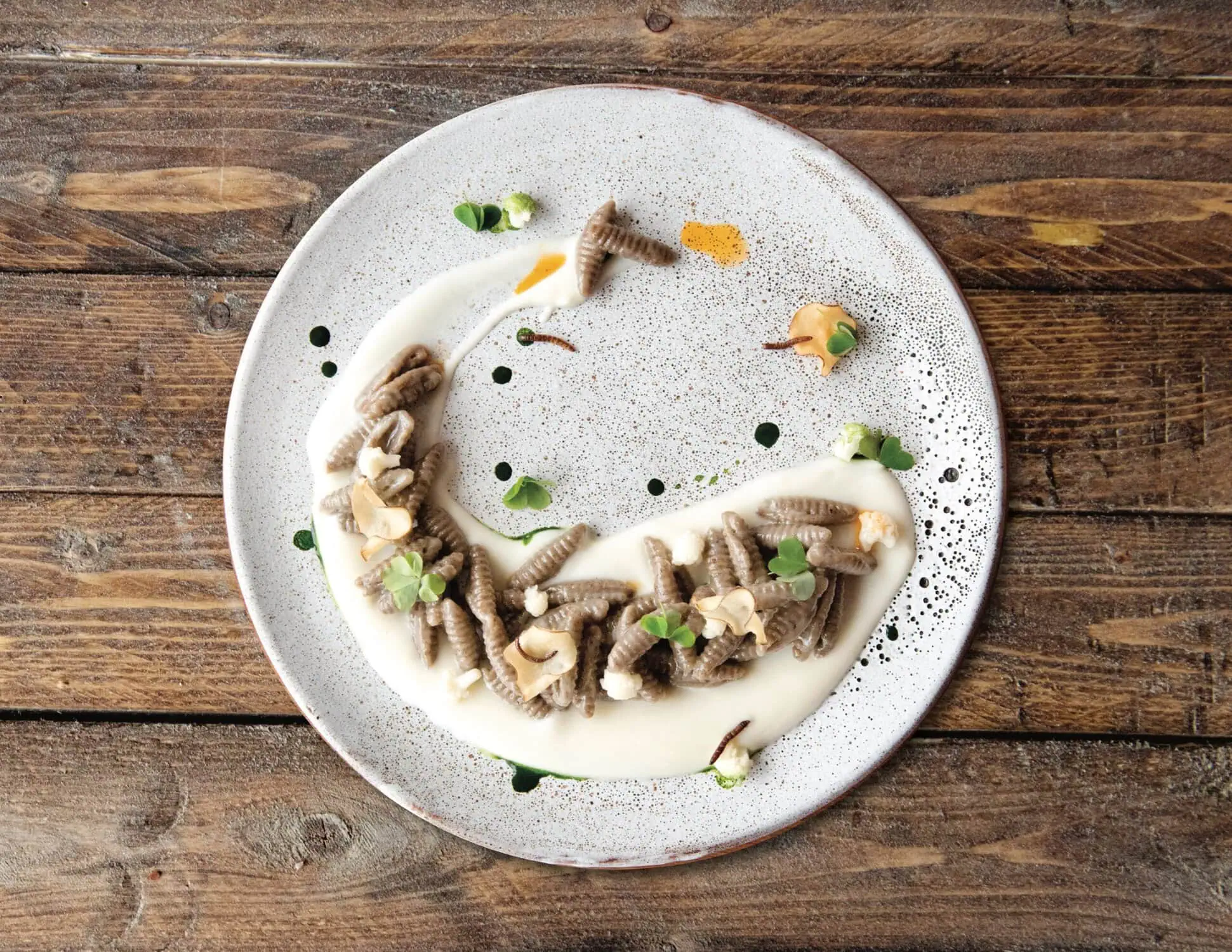 bugs-on-the-menu