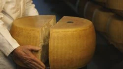 for-the-love-of-cheese