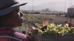 heritage-contemporary-california-cuisine-in-venice-with-chef-nyesha-arrington-of-leona