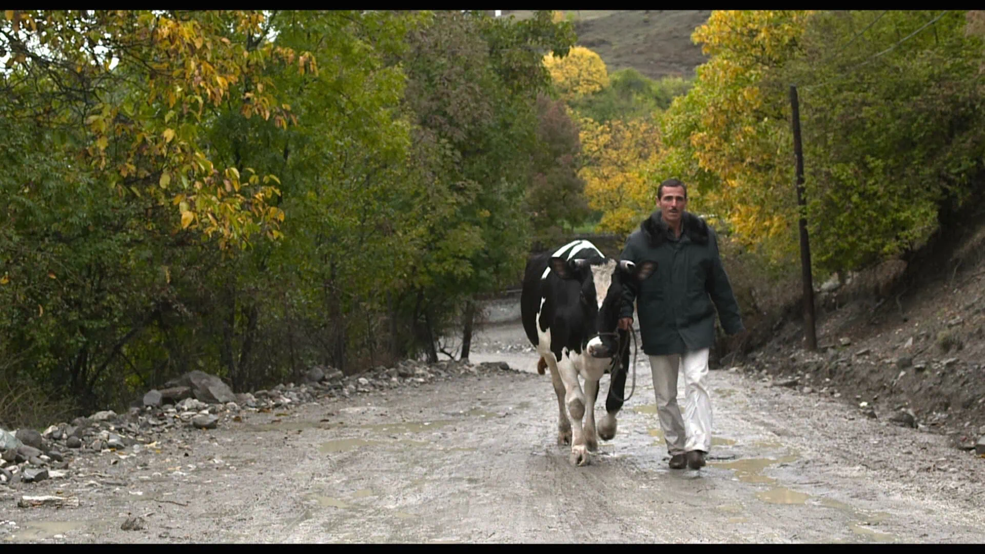 Holy Cow w/The Meadow