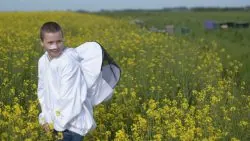pien-queen-of-bees