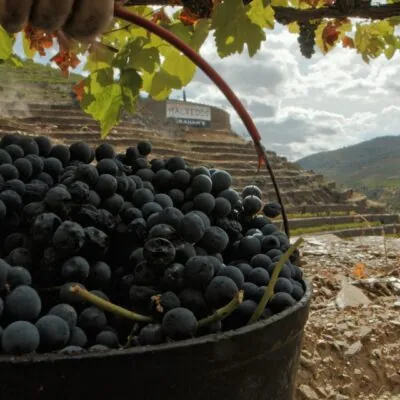 Port Tasting Workshop with Bishop's Cellar