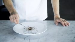 the-art-of-plating-chefs-cut-beyond-the-forest-with-rasmus-kofoed