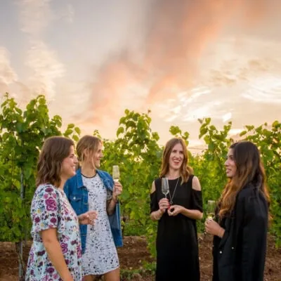Devour! in the Vines - SOLD OUT!