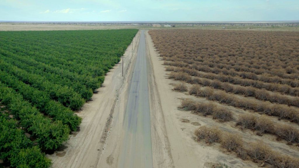 CALIF.- Green orchards vs. fallowed orchards along a highway in the Central Valley of California. (Photo credit: FRESH WATER FILMS/Bryan Harvey/ Tim Gould)