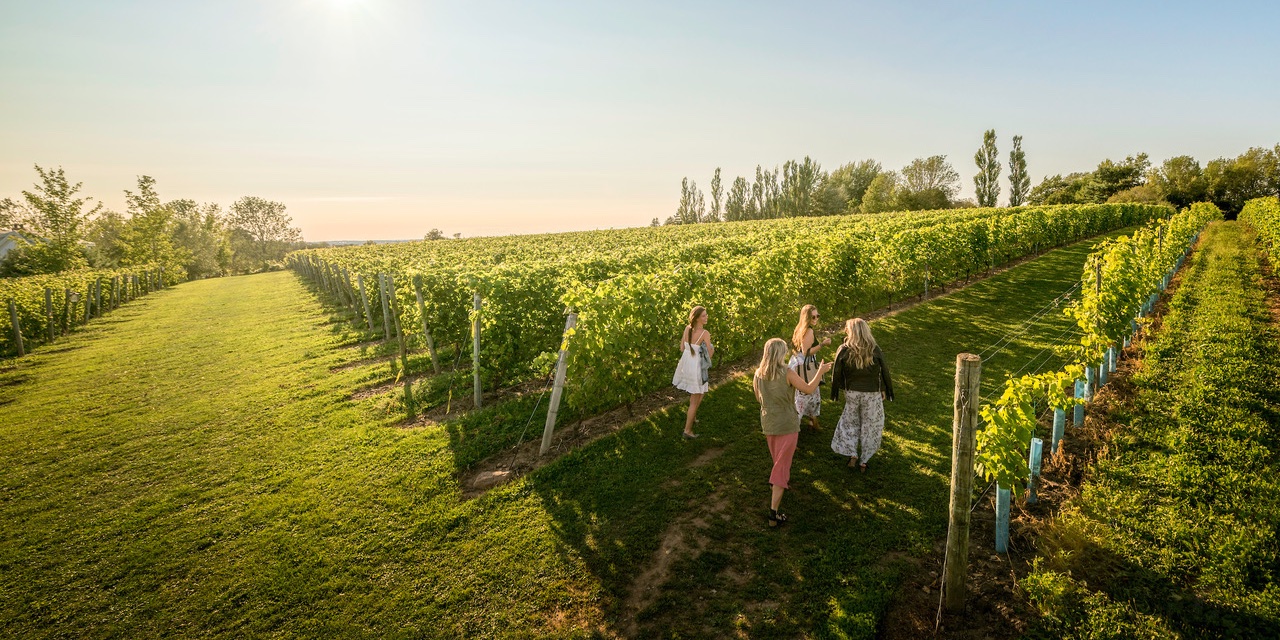 Devour! The Vines 2017 1-Credit NS Tourism