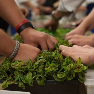Cooking Master Classes for Youth