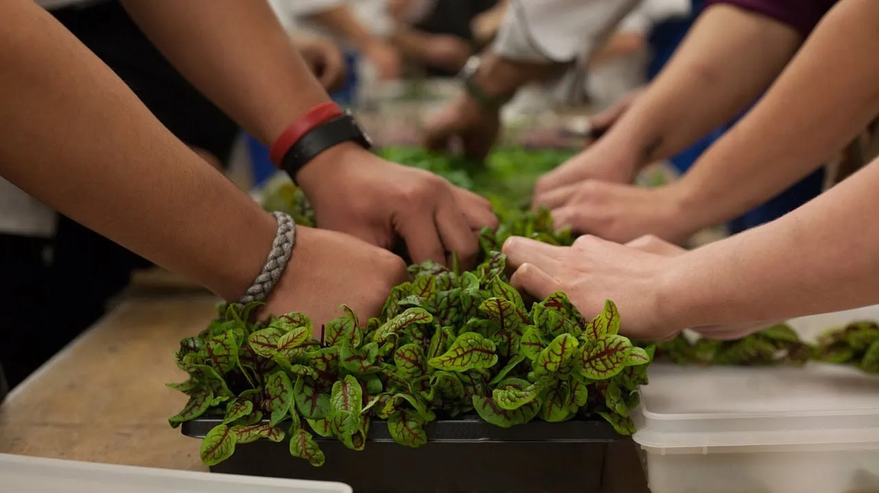 Cooking Master Classes for Youth