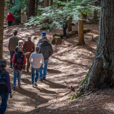 Foraging Workshop w/Frédéric Dardenne