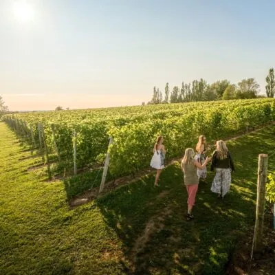 Naturally Cultivated in our Terroir: Nova Scotia Sparkling & Ice Wines with Kim Cyr & Amy Savoury