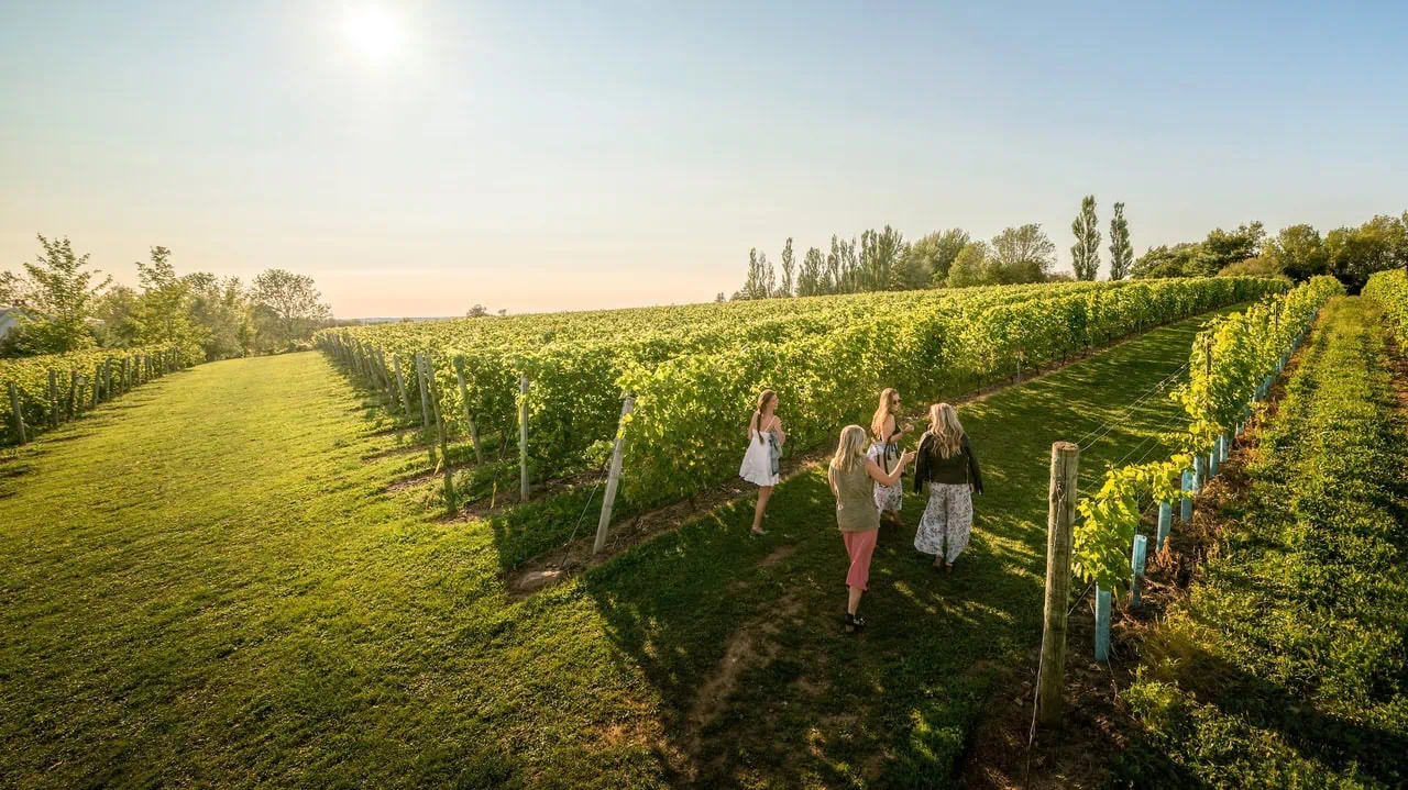 Naturally Cultivated in our Terroir: Nova Scotia Sparkling & Ice Wines with Kim Cyr & Amy Savoury
