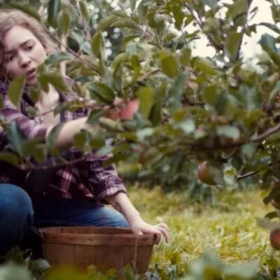 Closing Gala: Splinters w/Embrace the Blue and Borscht & Fresh Bread
