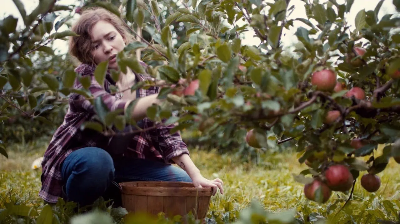 Closing Gala: Splinters w/Embrace the Blue and Borscht & Fresh Bread
