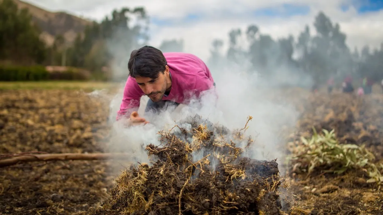 The Quest for Taste Shorts Program w/The Best  Place to Tell Stories, Mitsuharu Tsumura of  Maido, A Brief History of Acadians in Nova  Scotia (and their food), The Grey Zone, Virgilio  and Malena Martínez, Café de Temporada, Wild Mushroom and Venison with Jon Parry, Bay of  Fundy