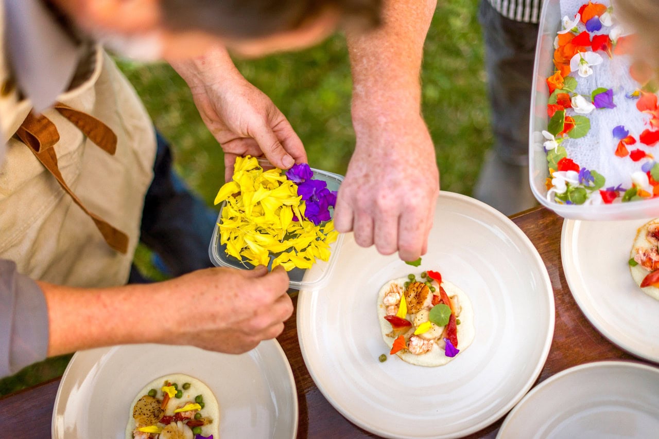 Devour! The Vines 2017 3-Credit NS Tourism