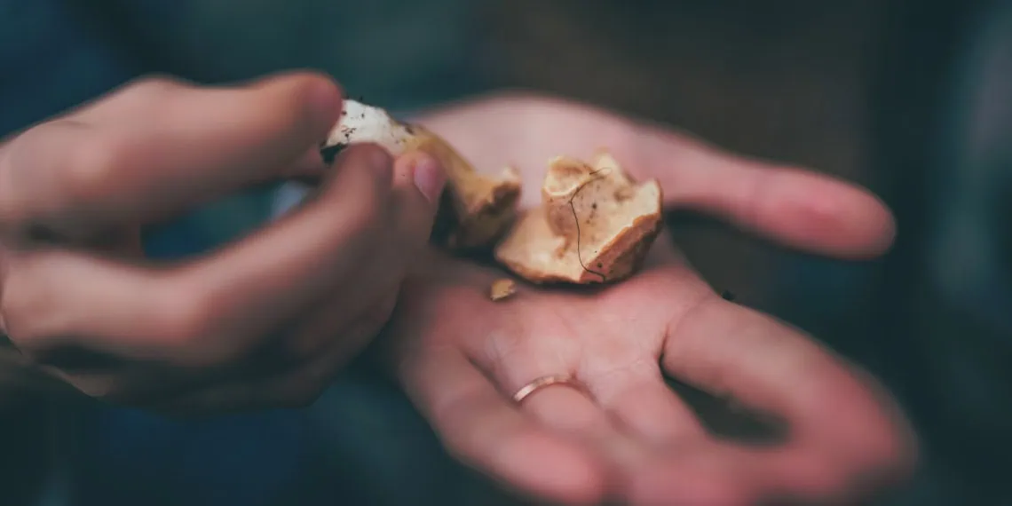 Foraging Expedition with Chef Nelson Penner