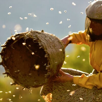 Honeyland w/Flour, Water, and Salt.