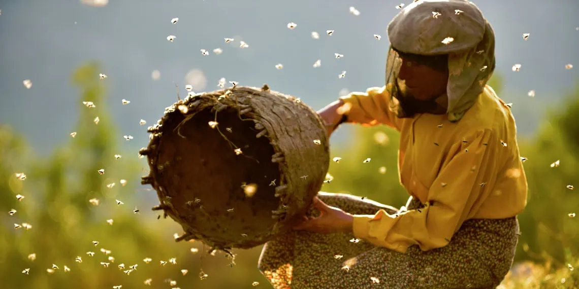 Honeyland w/Flour, Water, and Salt.