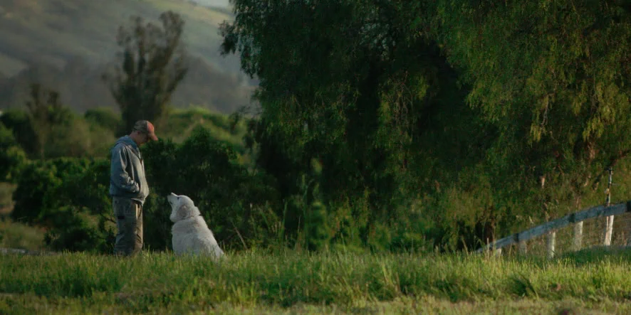 Closing Gala: The Biggest Little Farm  w/Distance- Short Stories About Food
