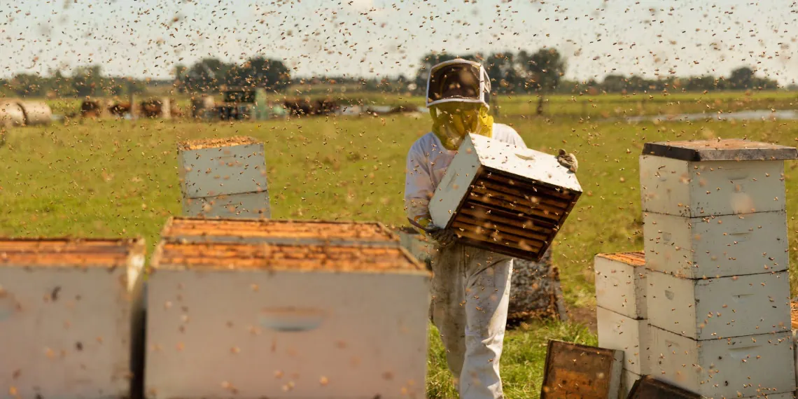 The Scotiabank Big Picture Program: The Pollinators w/BZZZ
