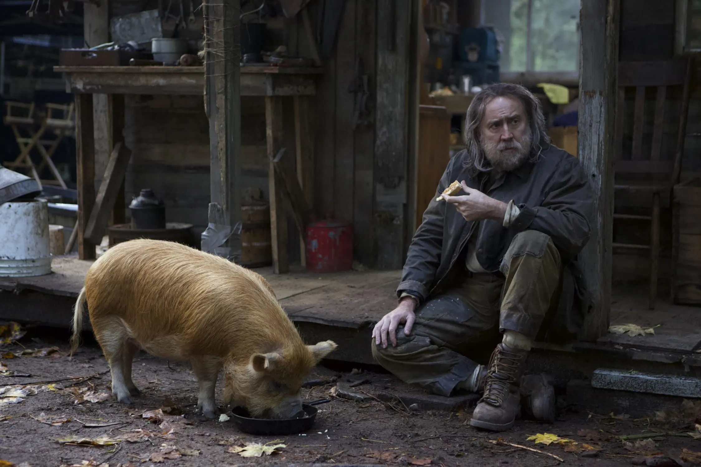 Pig w/Wild - IN PERSON