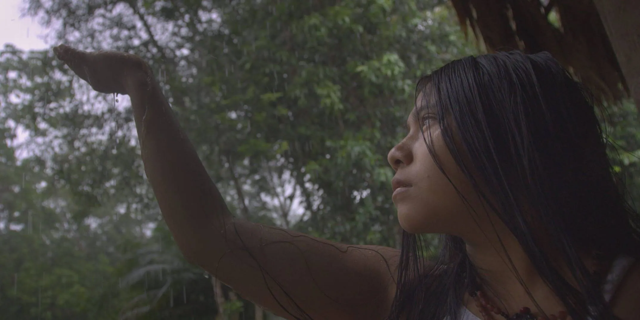 The RBC Big Picture Program: The Magnitude of All Things
