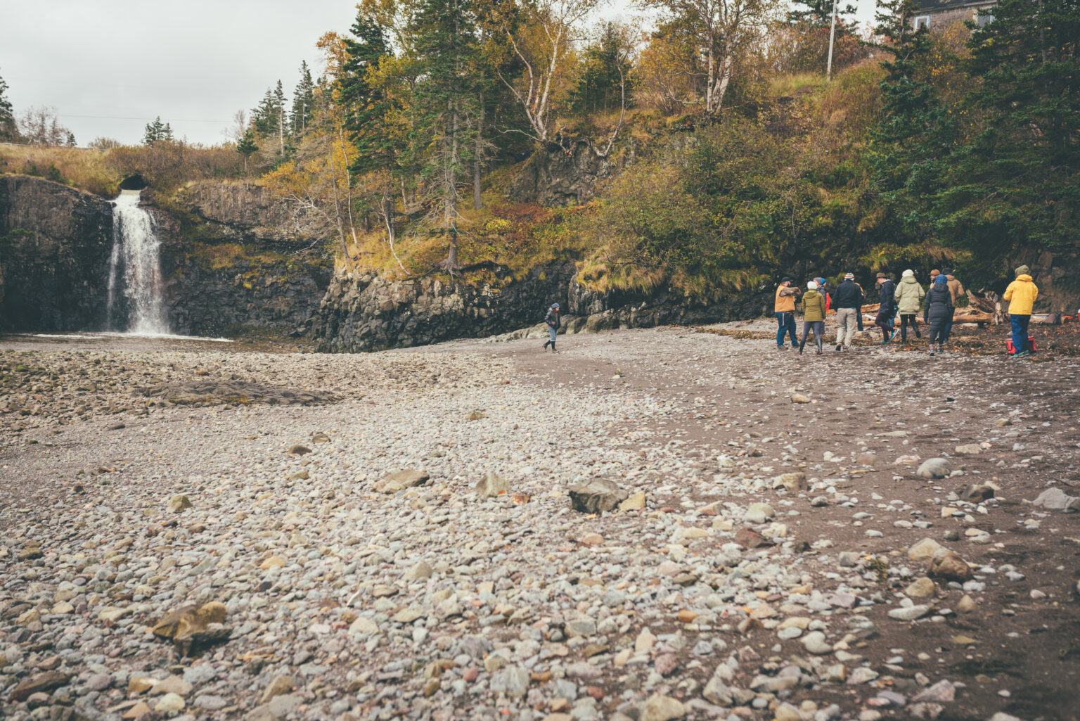 Foraging Workshop