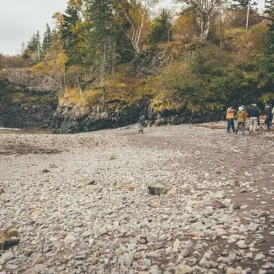 Foraging Workshop w/Sean & Tara Laceby