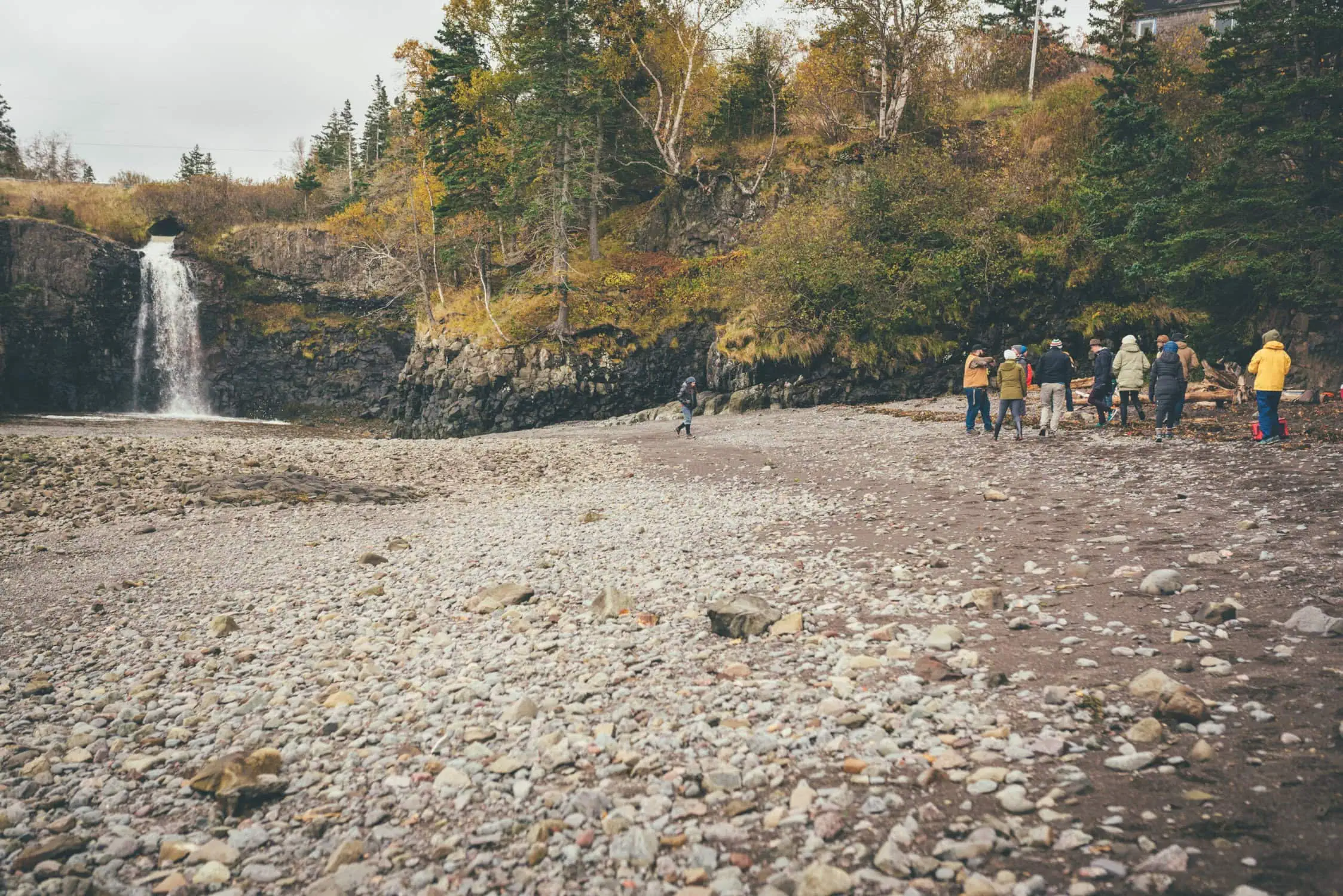 Foraging Workshop w/Sean & Tara Laceby