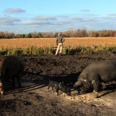 The Big Picture Program: From Seed to Seed - IN PERSON