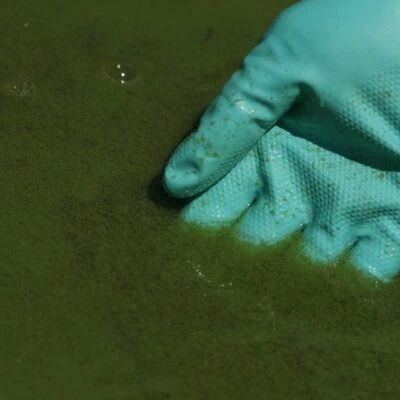 The Big Picture Program: Toxic Puzzle - IN PERSON