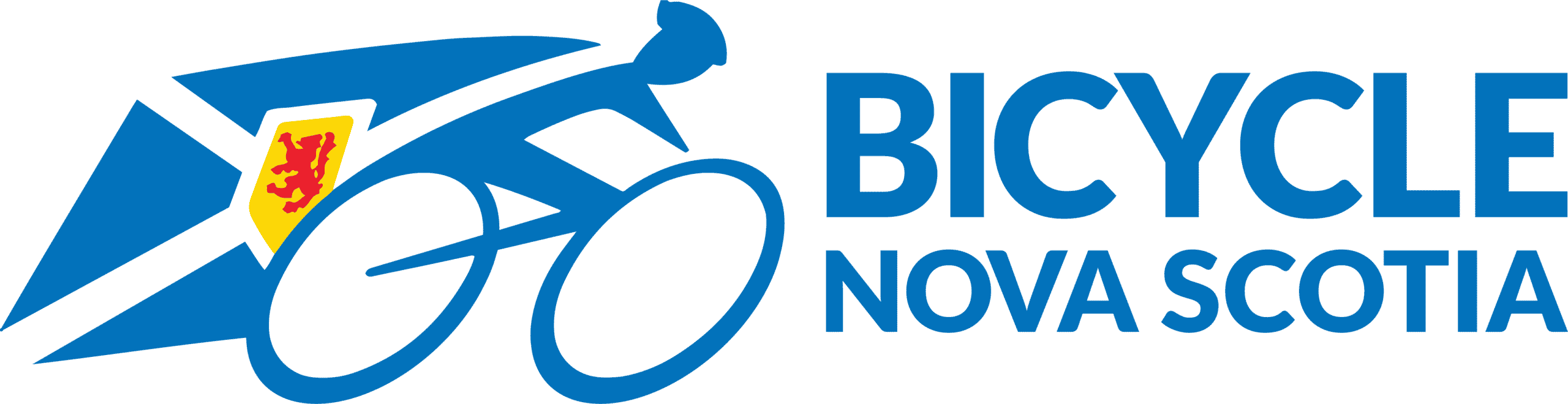 Bicycle NS
