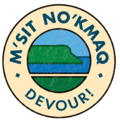 Msit_Nokmaq_Logo