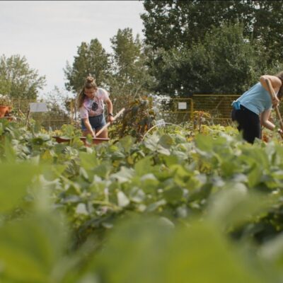 The Big Picture Program: The Root of it All (Screening & Cooking Class)