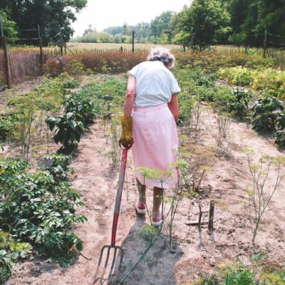 Agatha's Almanac w/Msit No'kmaq