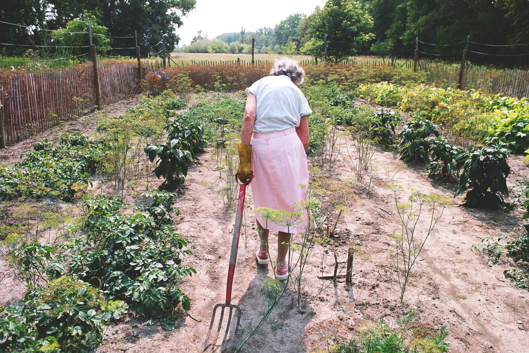 Agatha's Almanac w/Msit No'kmaq